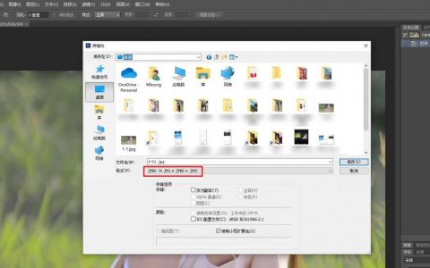 如何快速查看网站图片大小？