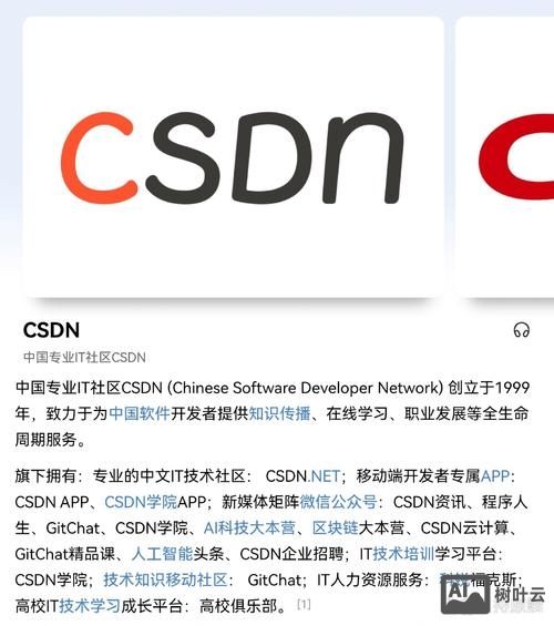 csdn网站招聘