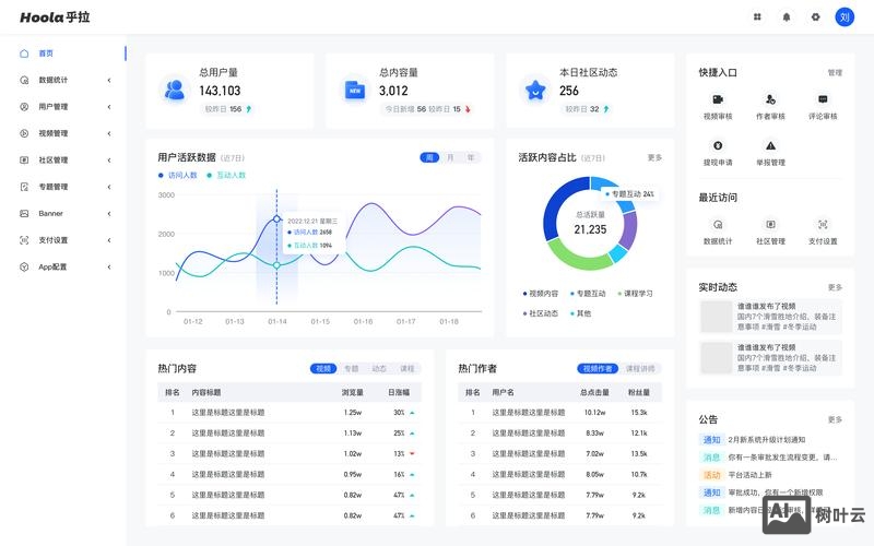 如何做网站的统计
