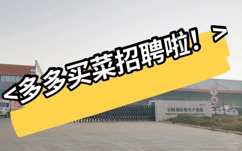 maple女装招聘，什么岗位在招？