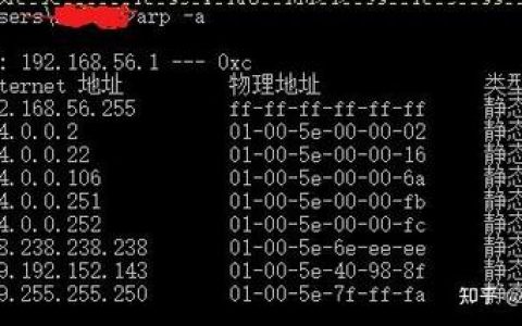 交换机查看IP命令是什么意思？