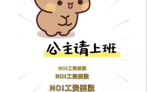 风车动漫招聘，有哪些岗位要求？