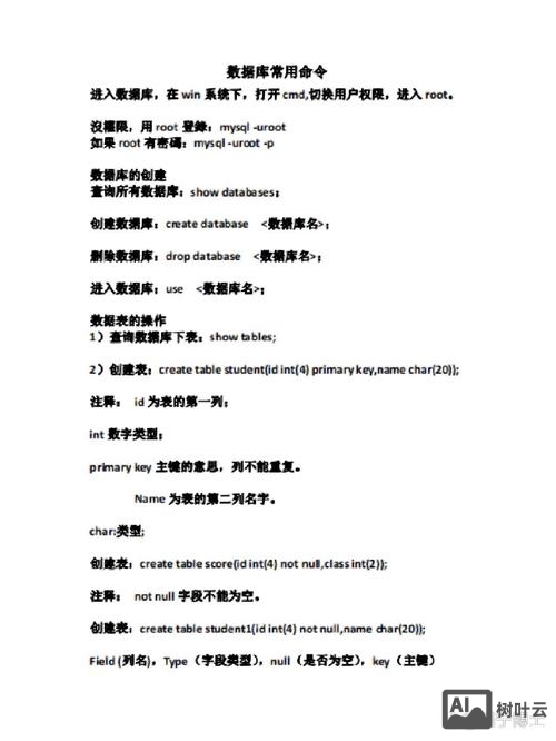 打开一个数据库的命令