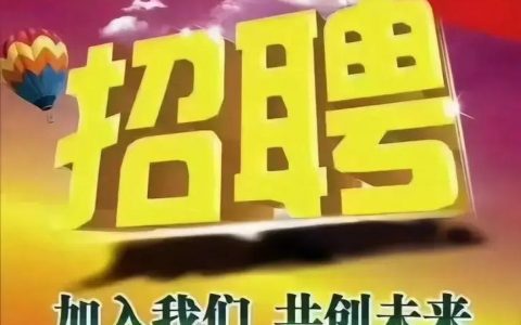 锤子文案招什么人？要求有哪些？