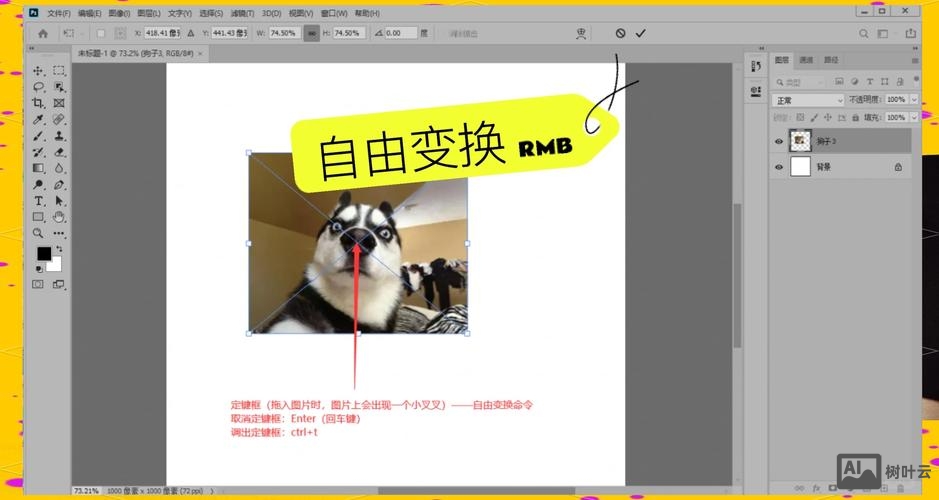 ps如何把图片放大缩小