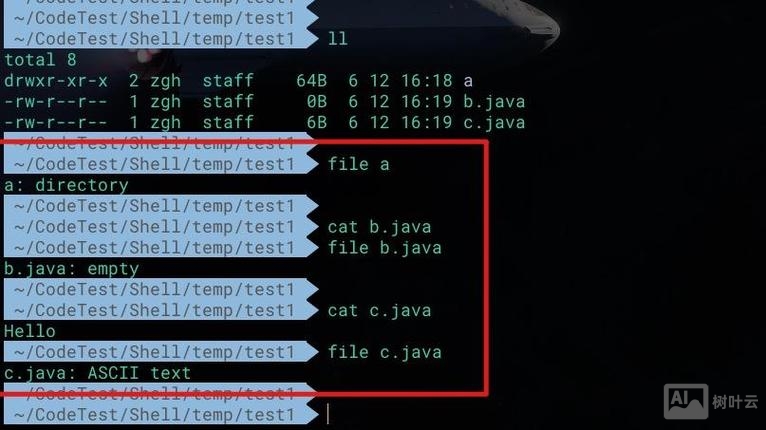 linux如何用命令打开文件夹