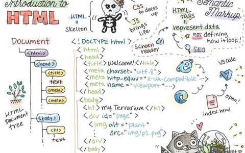 自学网页设计,如何高效入门并精通?