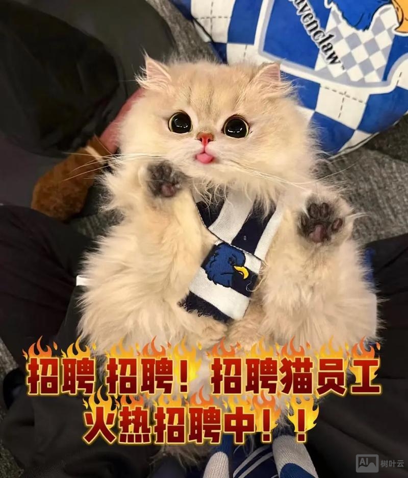 惠喵招聘