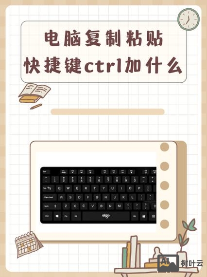 在命令行中粘贴快捷键