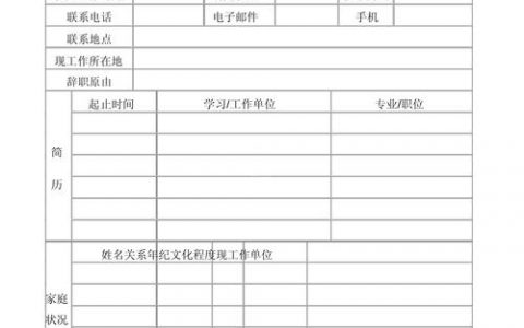 瓜子招聘表格怎么用？