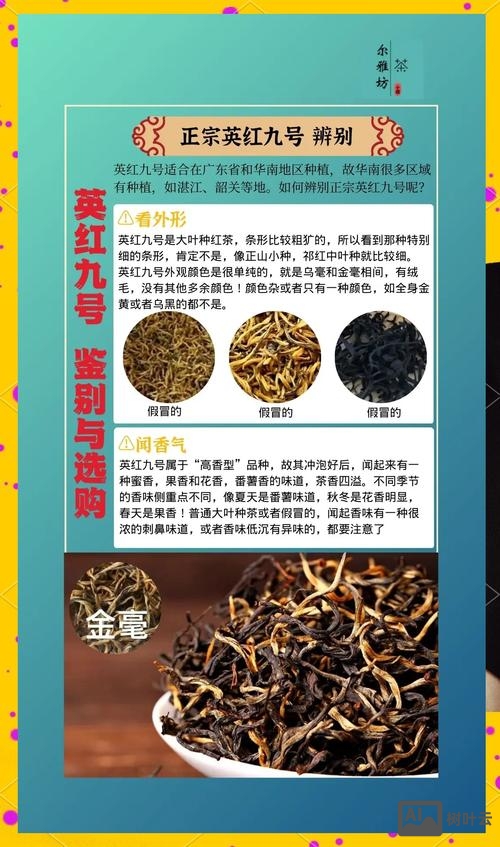 如何识别英红九号