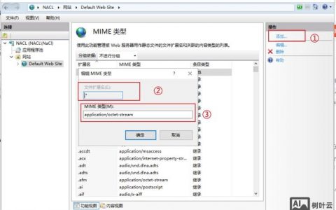 网站如何支持IPv6？关键步骤有哪些？