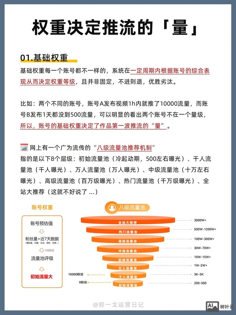 如何做网站有权重