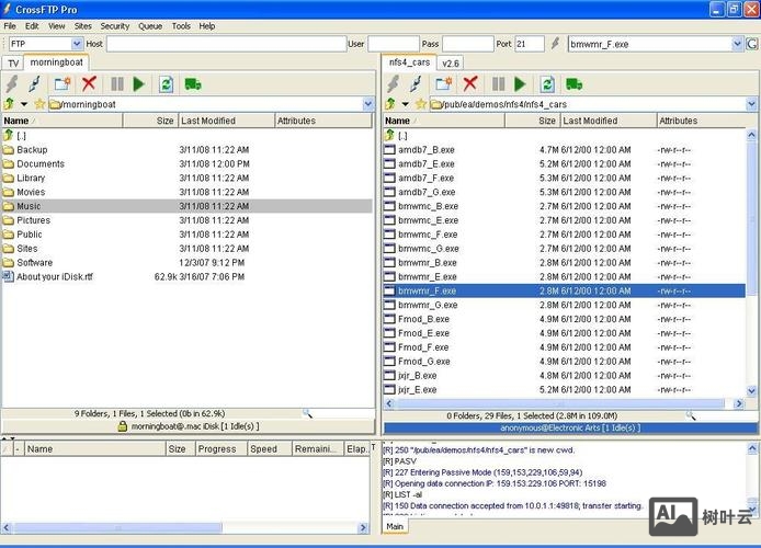 ftp 命令行客户端