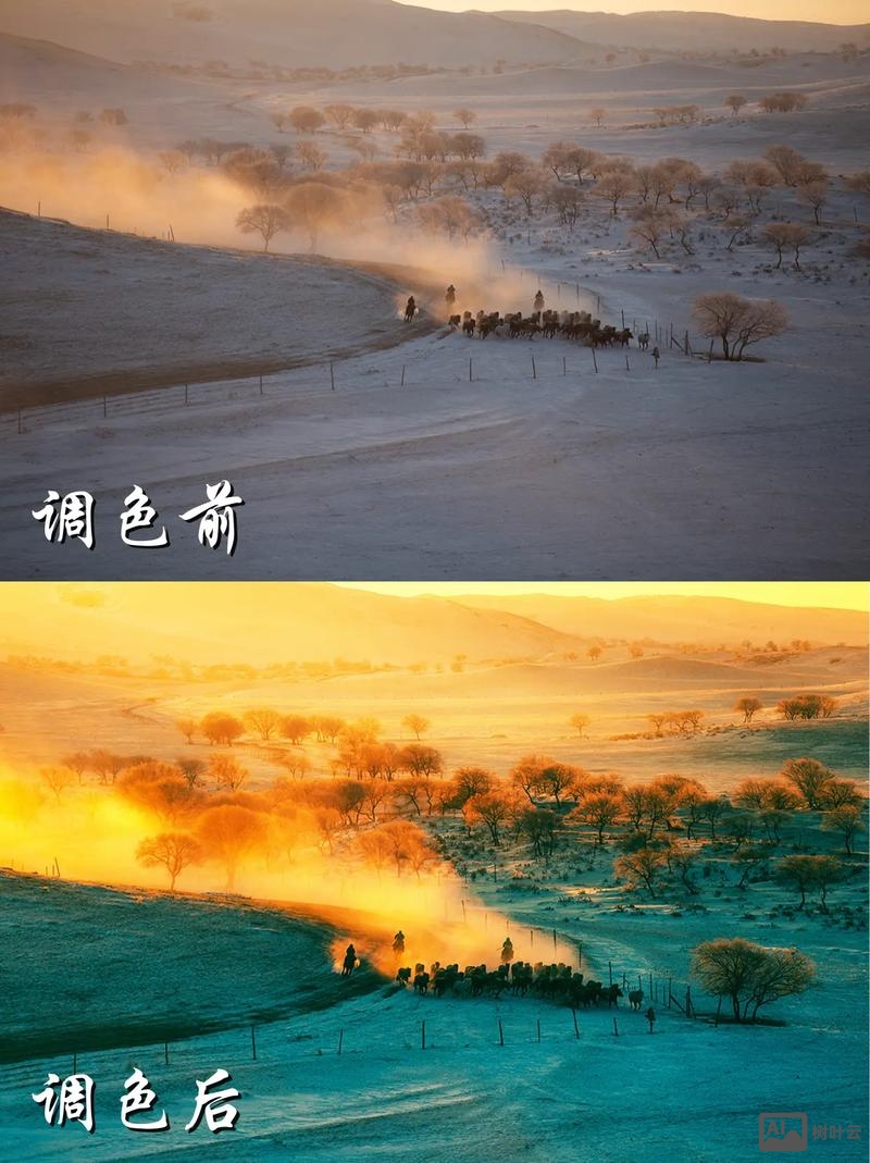 photoshop教程 如何给照片调色