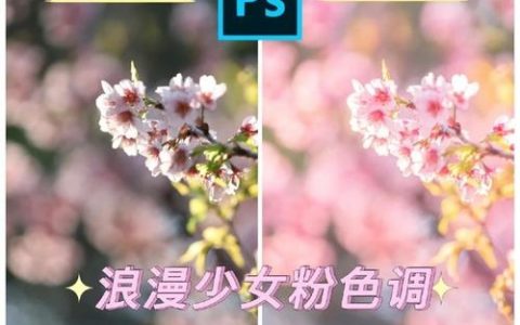 Photoshop调色教程，如何调出理想照片色彩？