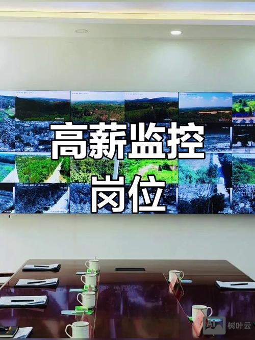 直播监控招聘