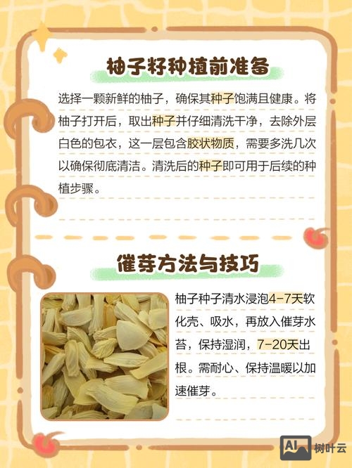 如何预防柚子从底部裂开