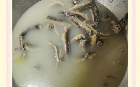 牛鳅鱼煲汤怎么做好喝又营养？
