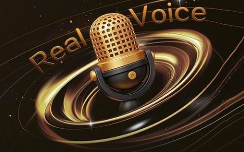 audio dsp招聘，具体要求有哪些？