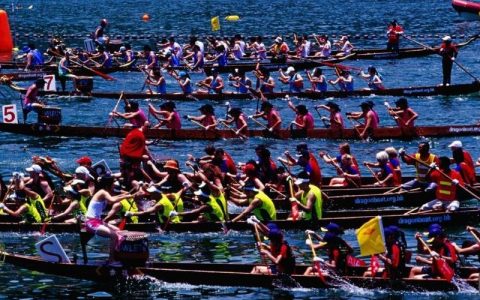 Dragon Trip招聘，具体岗位和要求是什么？