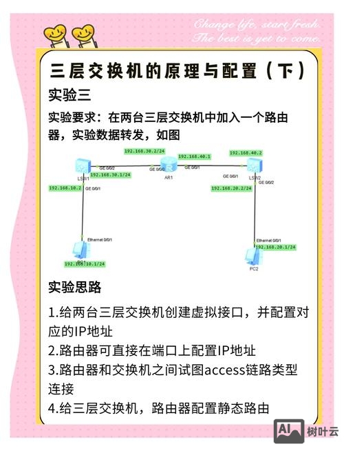 三层交换机查看命令