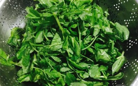 万网如何设置域名别名？