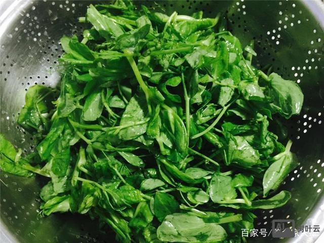 万网如何做别名