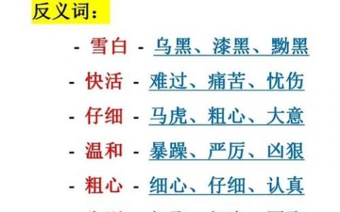 反义词如何准确掌握？关键在哪？