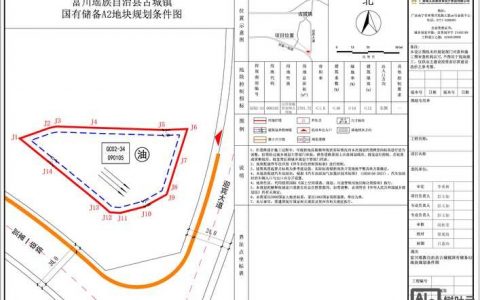 勐仑镇未来规划如何布局发展？