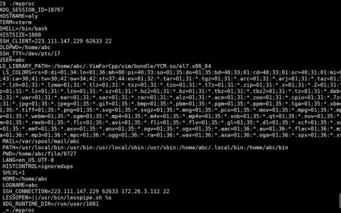 命令行如何查看所有环境变量？