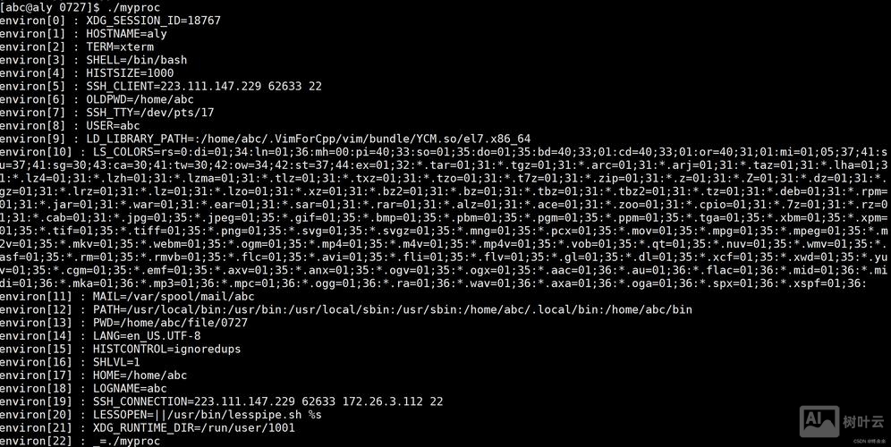 命令行查看环境变量