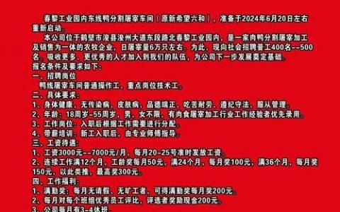 58春节招聘,岗位薪资如何?