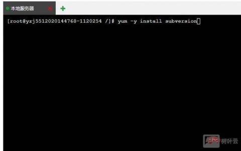 svn命令无效，环境变量未配置？