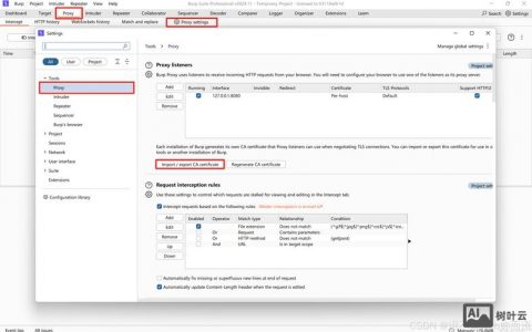 网页如何插入应用程序？