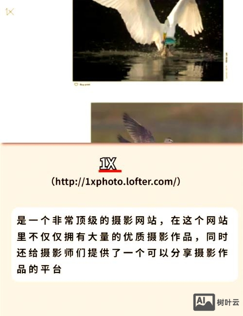 如何做好网站摄影