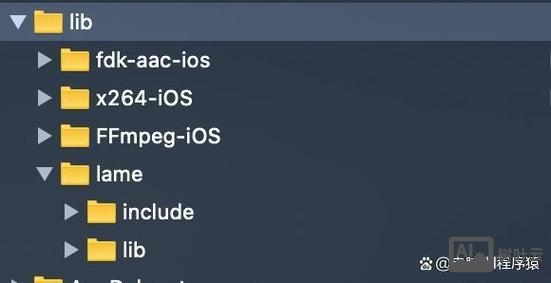 调用dll命令后发现堆栈错误