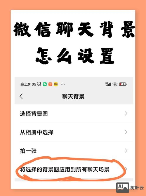 如何换微信主页背景