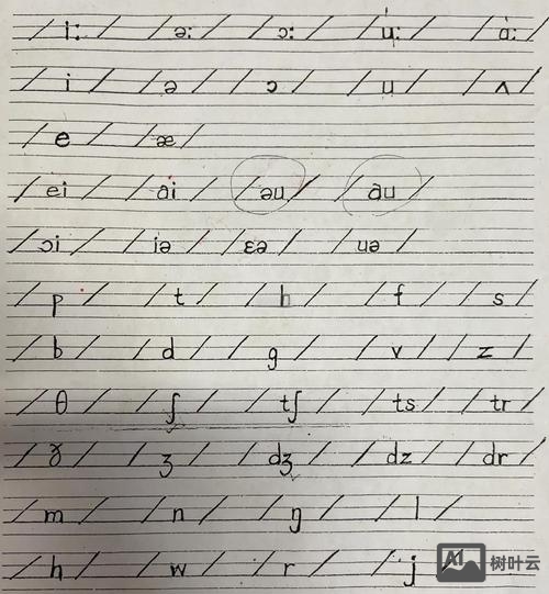 如何正确规范书写双元音