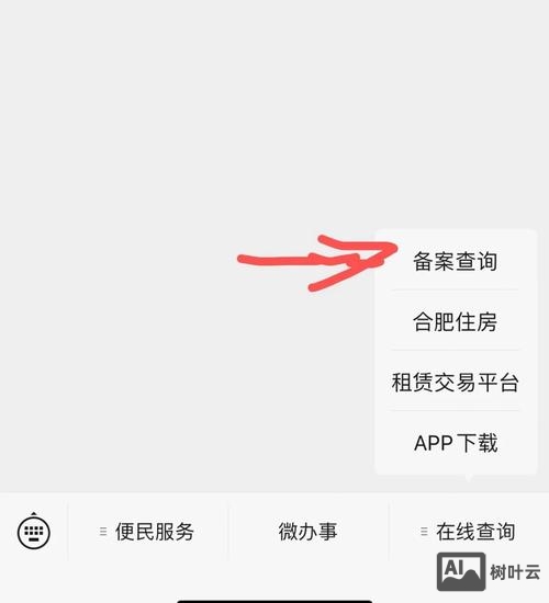 如何查看未备案的网