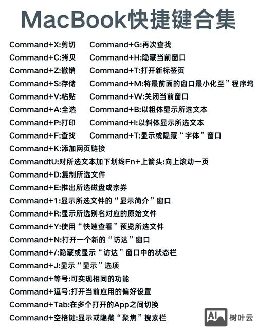 mac的命令行怎么打开