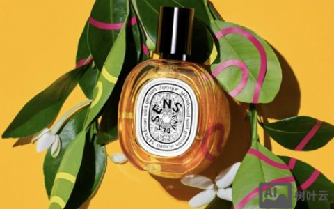 Dyptique上海招聘，具体岗位和要求是什么？