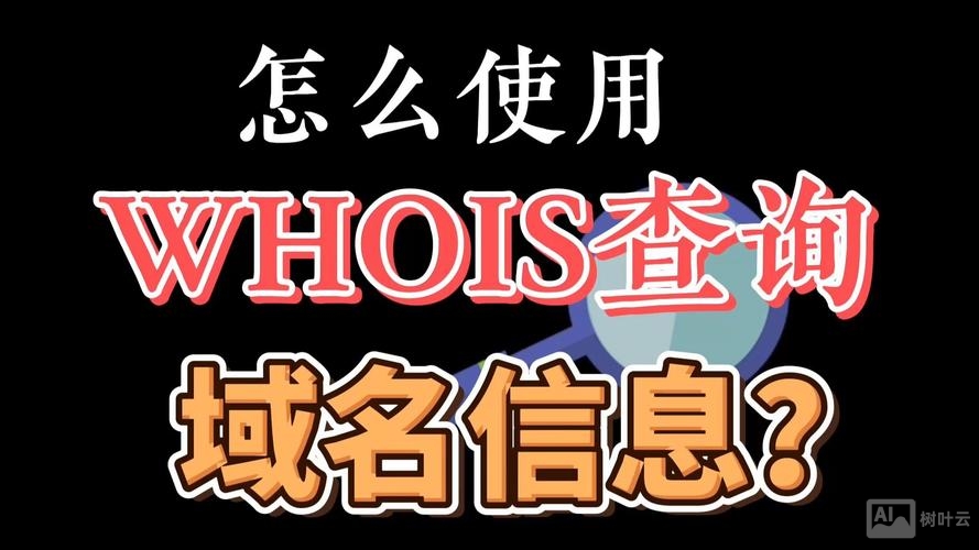 如何查cn域名的历史