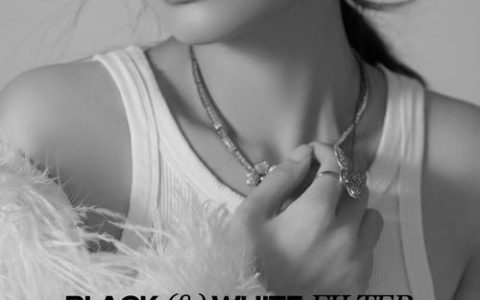 Tang Vision招聘，具体岗位和要求是什么？