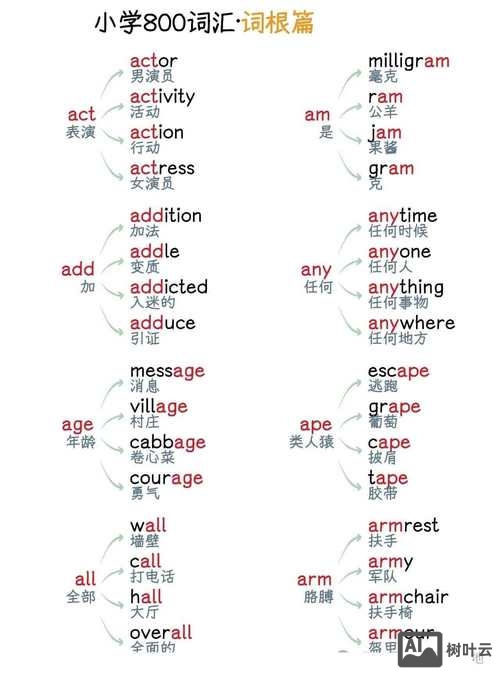 英文名如何分析词根
