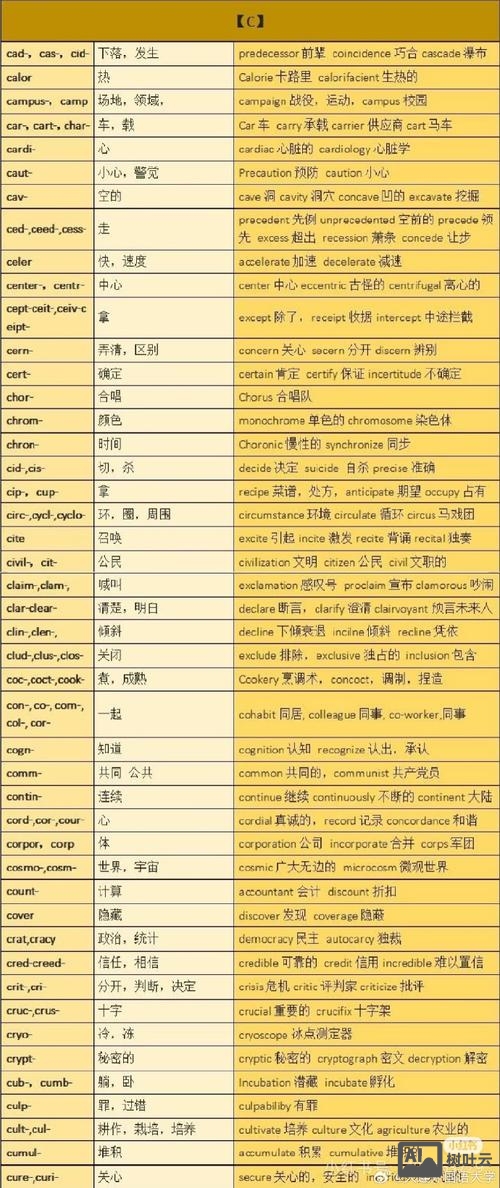 英文名如何分析词根