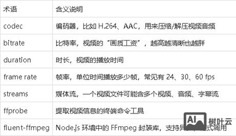 fluent 不是内部或外部命令