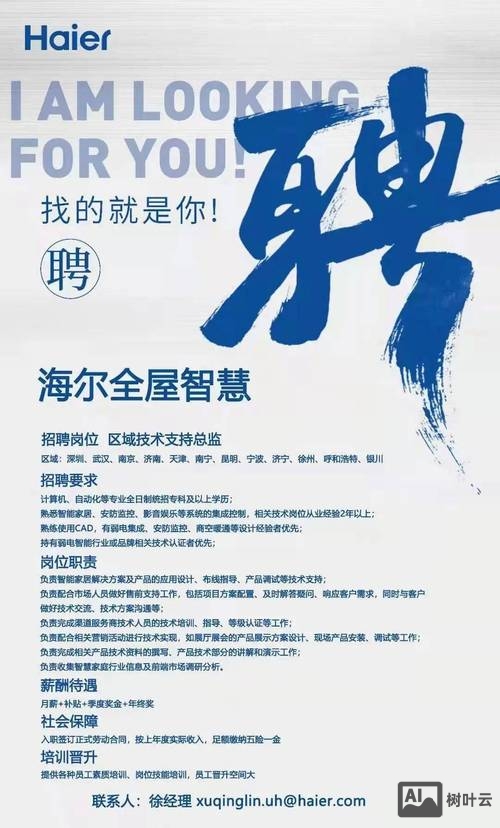 海尔招聘 sqlserver