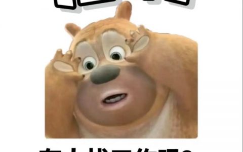 NYK Line招聘有哪些具体岗位和要求？