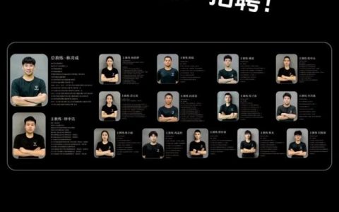 阿里Lazada招聘什么岗位？要求如何？